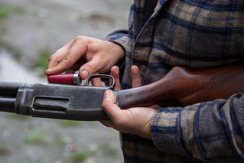 Close up of man loading a red shotgun shell into the magazine of his gun. It has a wooden stock against the steel action. 