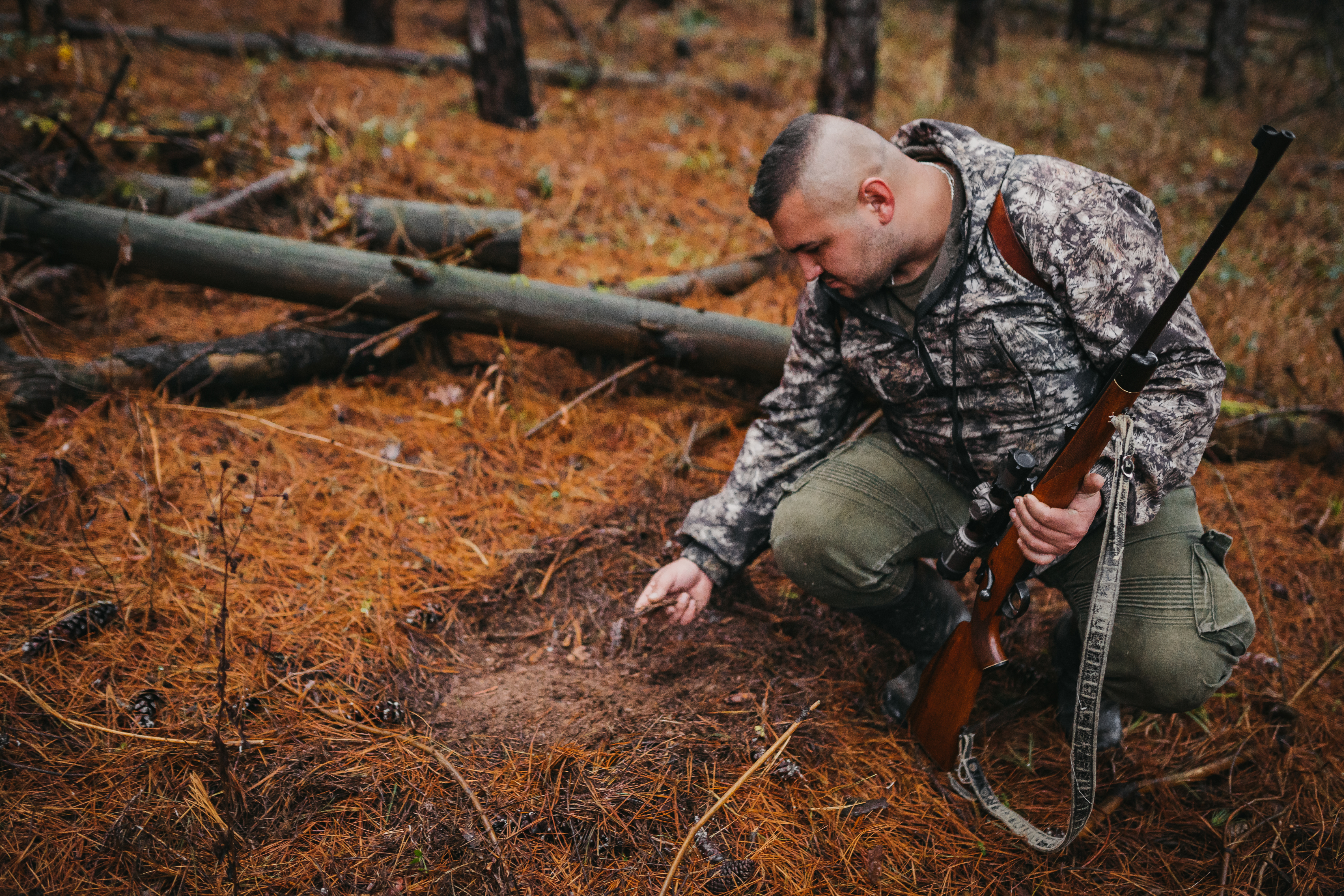 track a deer without a blood trail