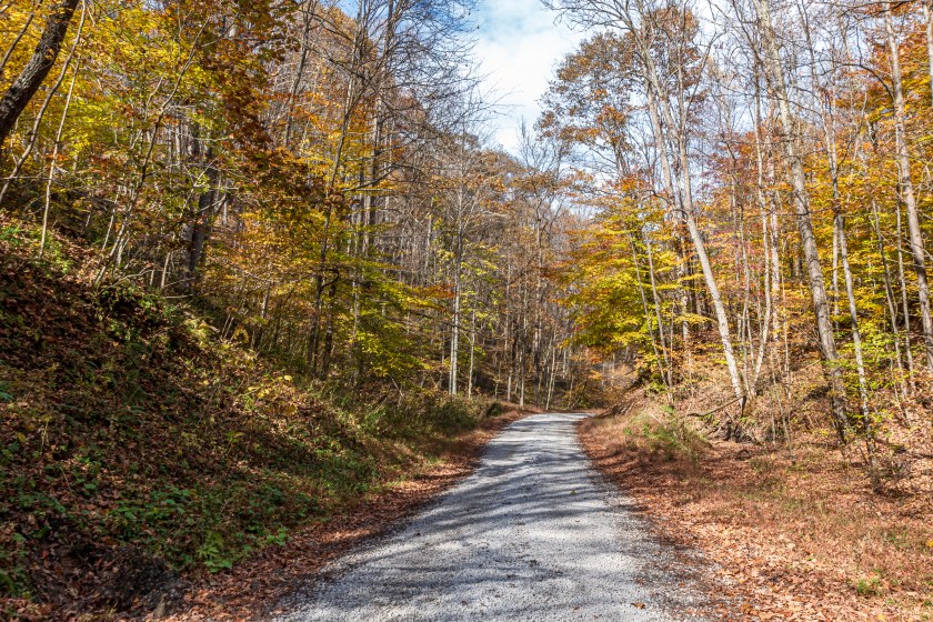 Remote country road through the Wayne National Forest in southeastern Ohio during peak fall foliage.