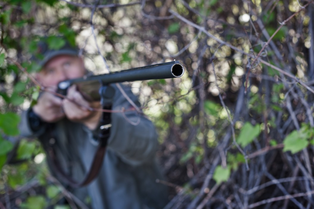 Hunter in the wilderness aiming from the bushes at his target. Shallow DOF.