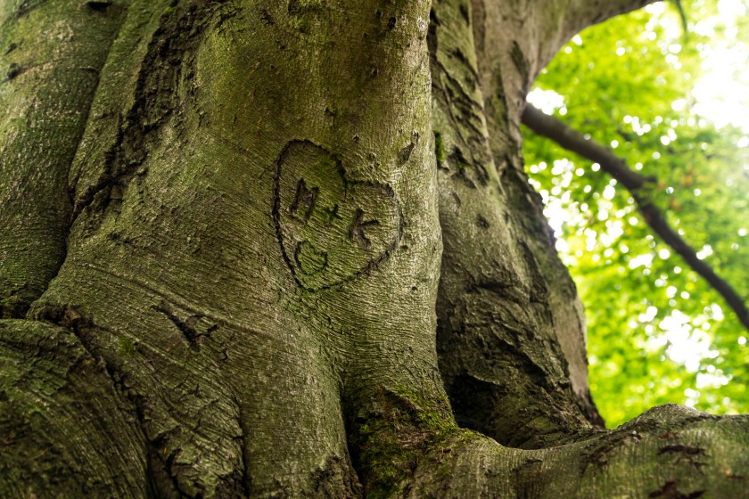 trunk engraved with hearts and initials