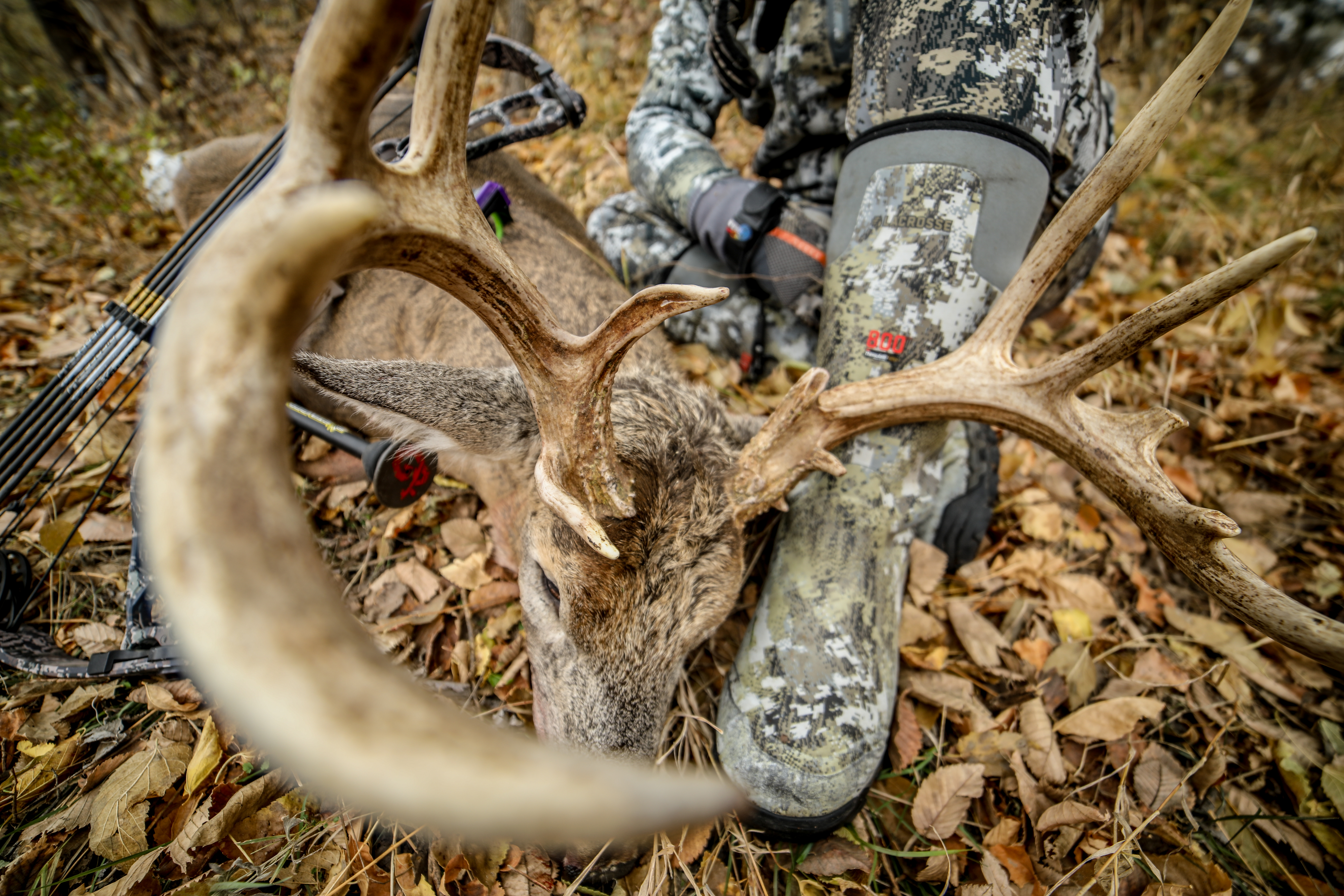 bowhunter with a deer