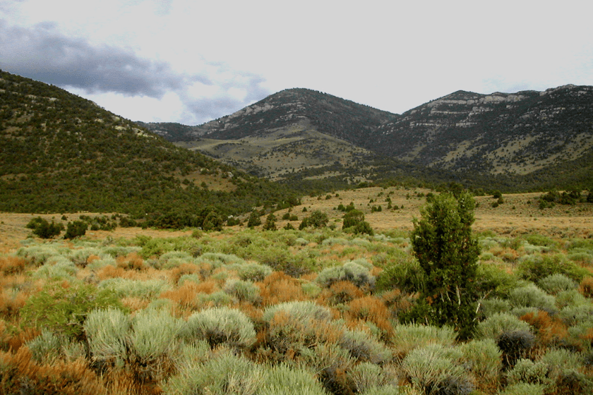 Goshute Canyon Wilderness, BLM Nevada