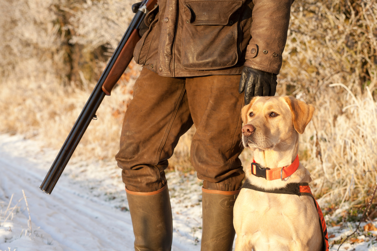men's hunting pants