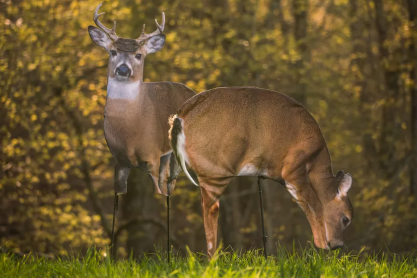 rut hunting