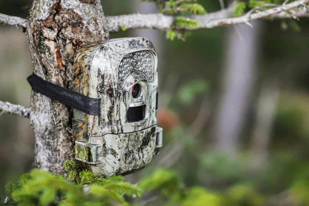 trail cam repair