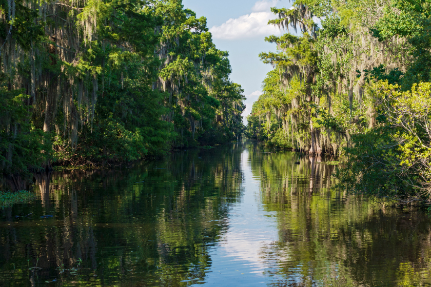 bayou of mississippi river delta region in jean lafitte national park near new orleans louisiana. the theodore roosevelt conservation partnership aims to protect these lands