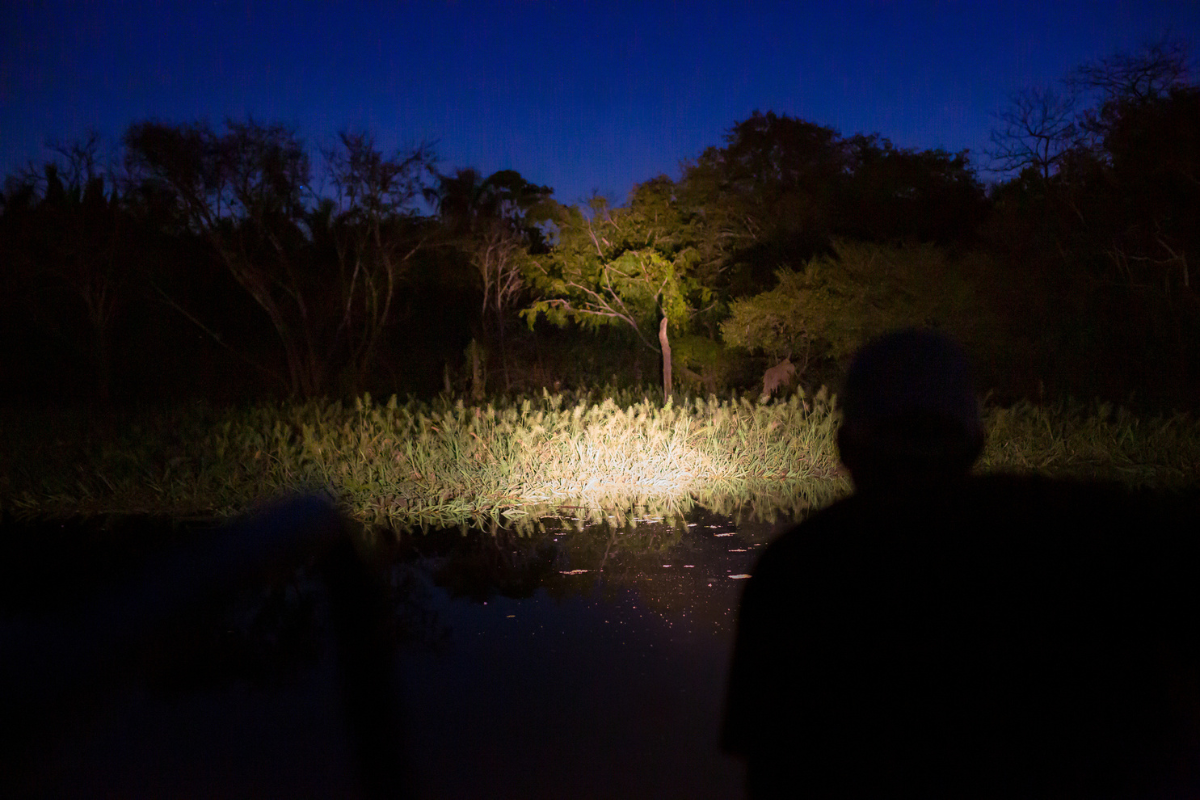 led hunting flashlights