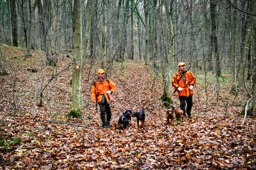 alabama hunting license