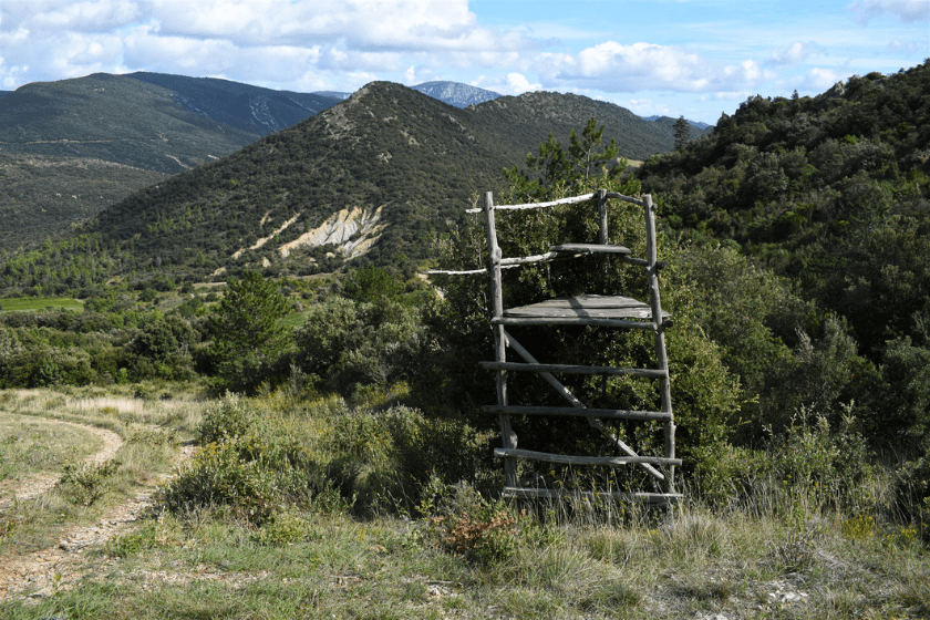 treestand in mountains