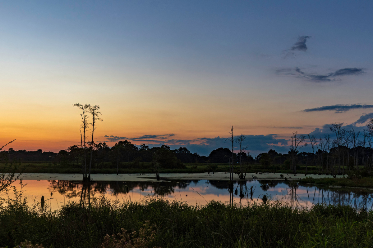 pond sunset