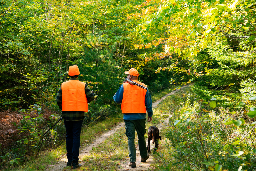 men walking through woods in summer