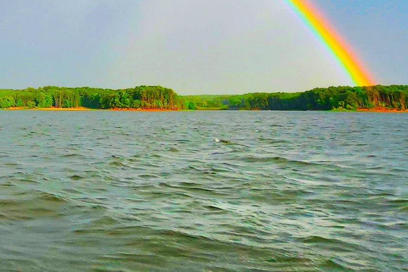 north carolina state parks