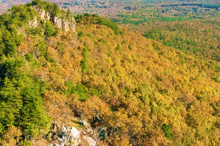 north carolina state parks