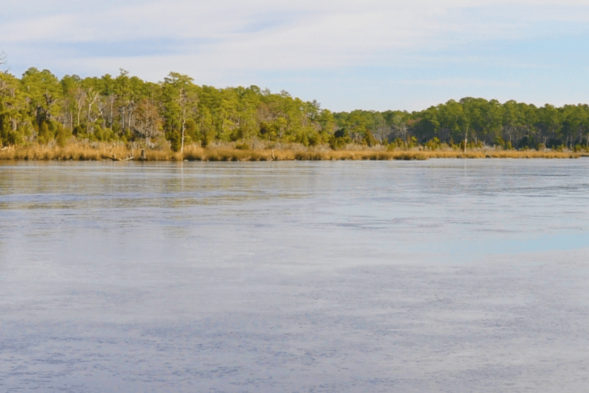 north carolina state parks