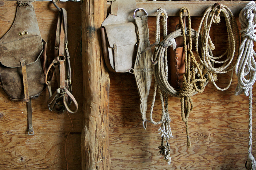 saddles lined up on wall