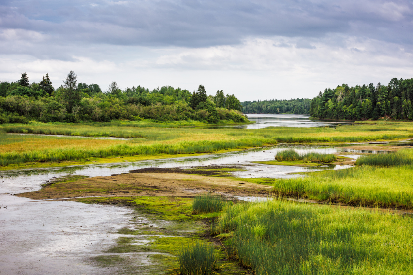 USFWS waterfowl population survey