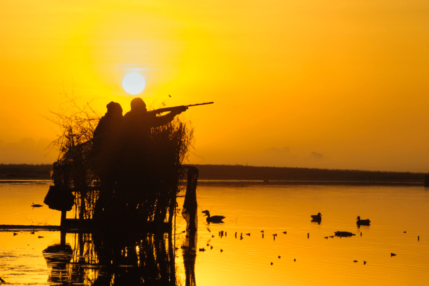 hunters for waterfowl