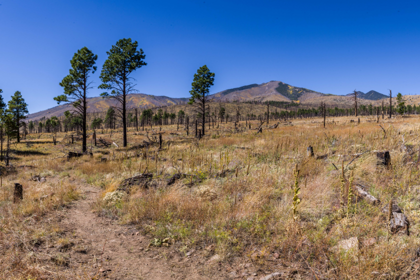 western states public hunting