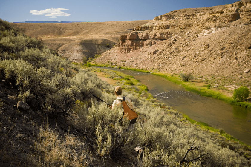 western states public hunting