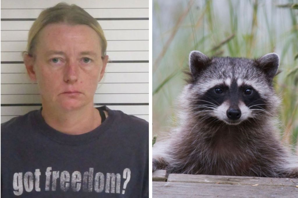 Woman Brings Raccoon Into Bar, Faces Criminal Charges