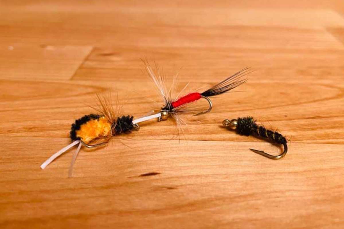 Three fishing flies on a wood background