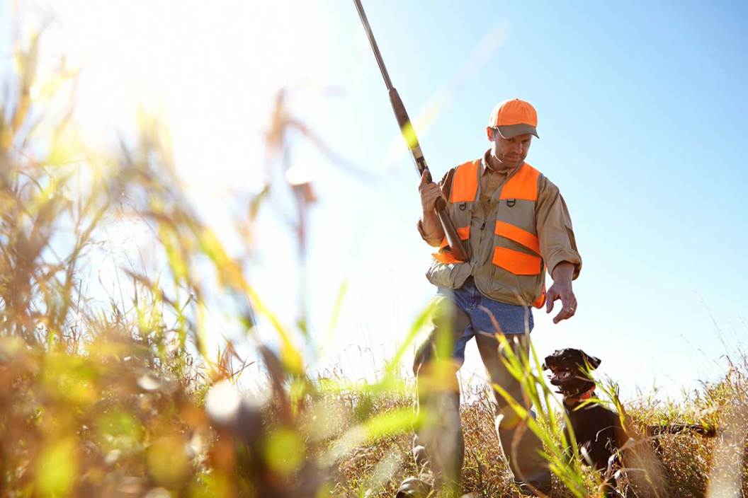 Bird hunter standing in a field with his hunting dog
