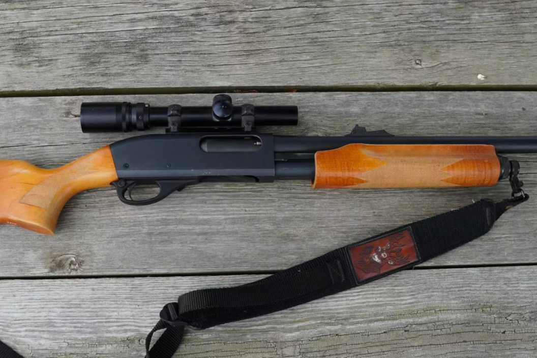 Shotgun Only States