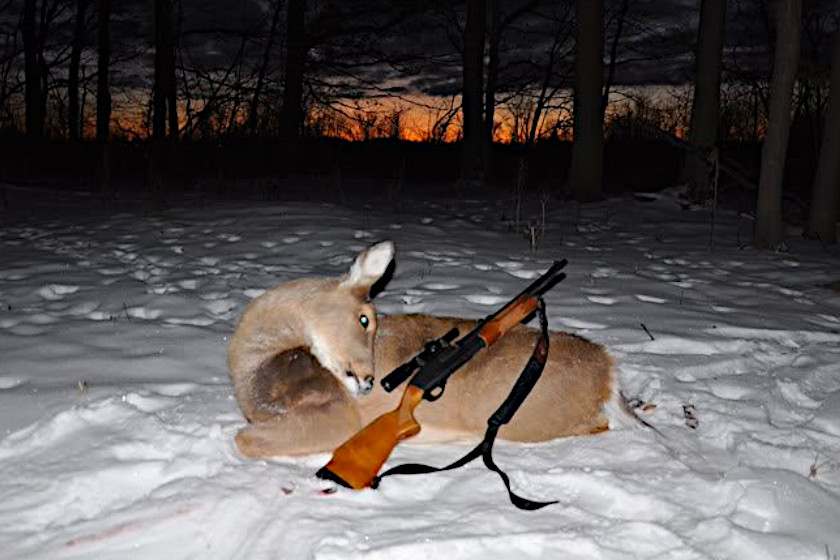 Shotgun Only Deer States
