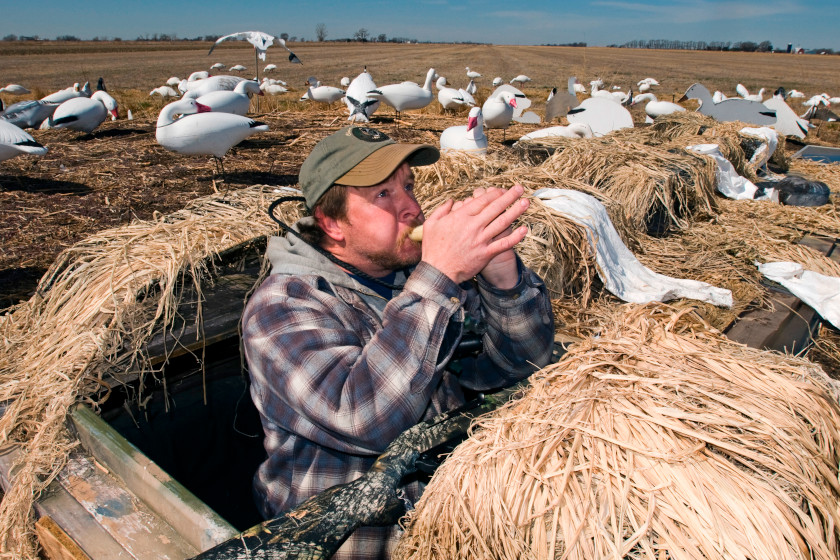 Sound Affects Hunting