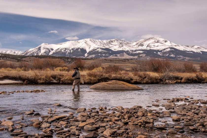 A middle-aged sports woman fly-fishing in the Arkansas River near Leadville, Colorado.