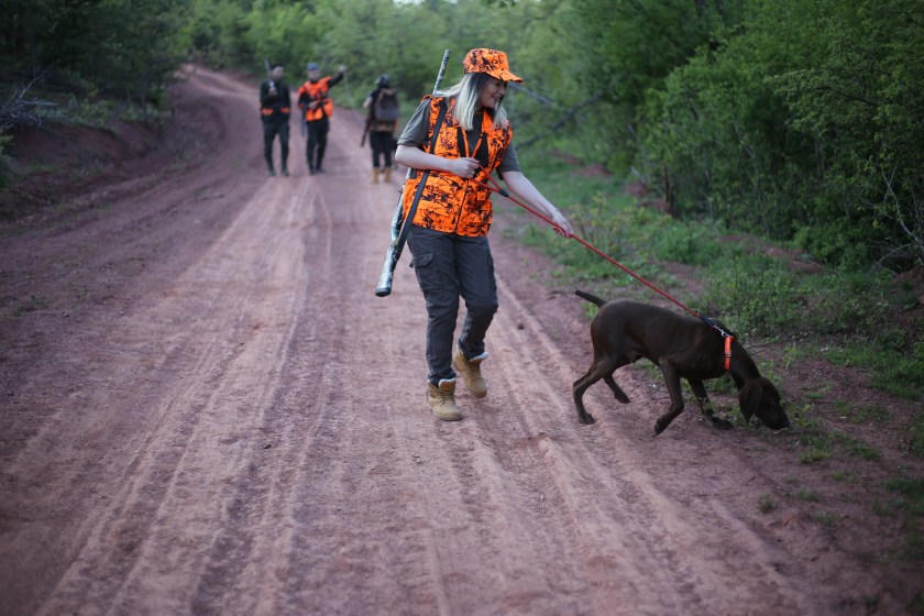 Group of Hunters with Their Dogs Going for Hunting Action