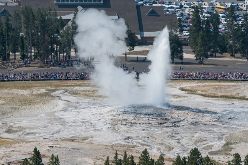 Old Faithful Erupts in Yellowstone from overlook point