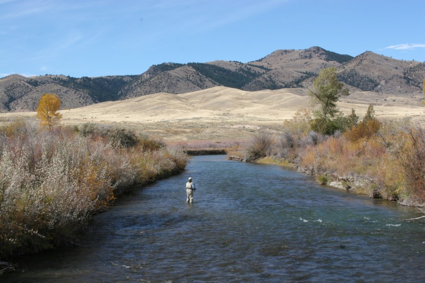 woman fishing on the ruby river montana maybe for trout