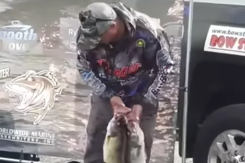 Lake Erie Walleye Tournament Cheating