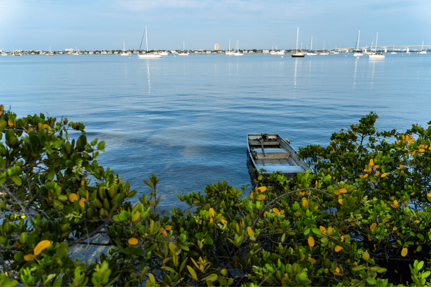 best saltwater fly fishing