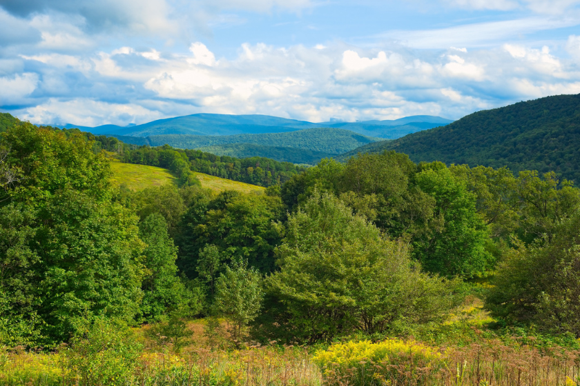 northeast whitetail hunting states