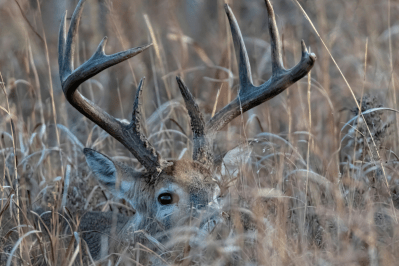 Hunting Facts: 7 Facts You'll Wish Weren't True