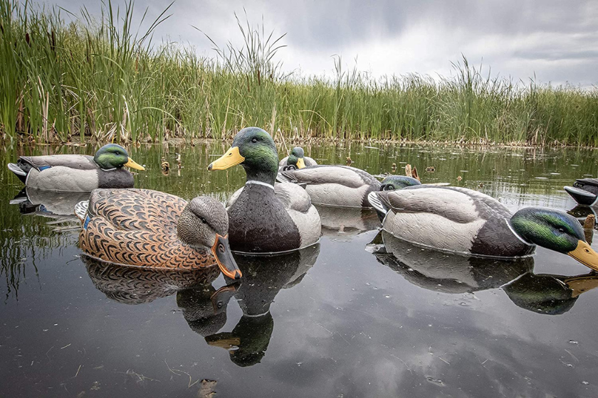 best duck decoys 2022