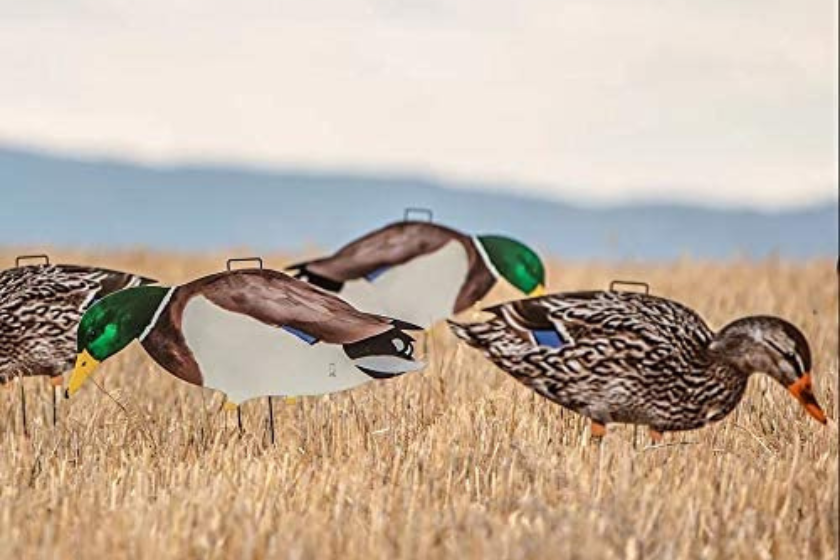 best duck decoys 2022