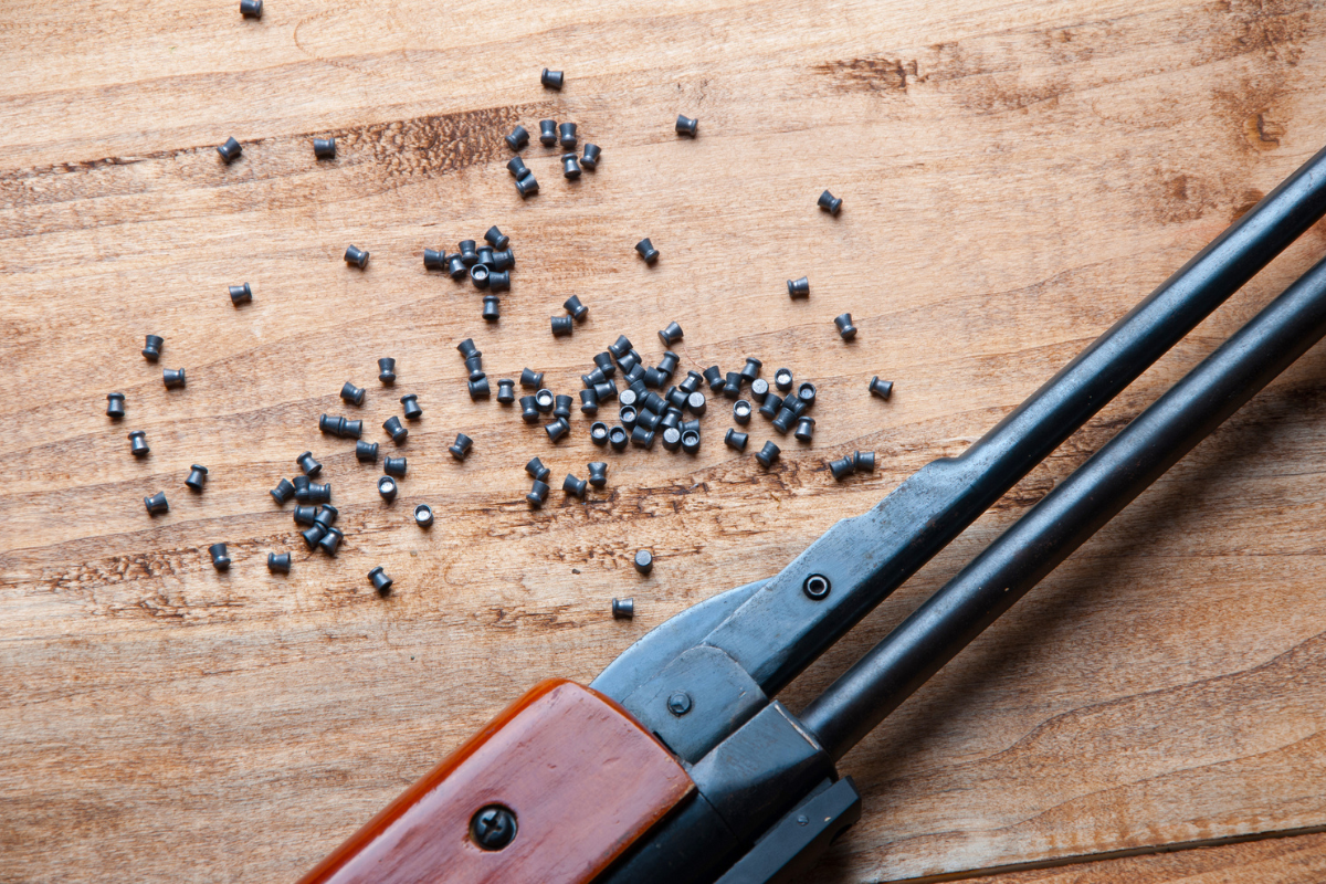 best budget friendly pellet guns