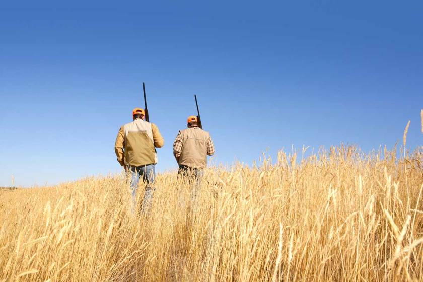5 States With the Best Quail Hunting Wide Open Spaces