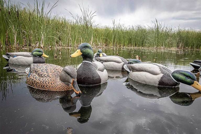 Best Duck Decoys: Best Floaters and Silhouettes of 2022