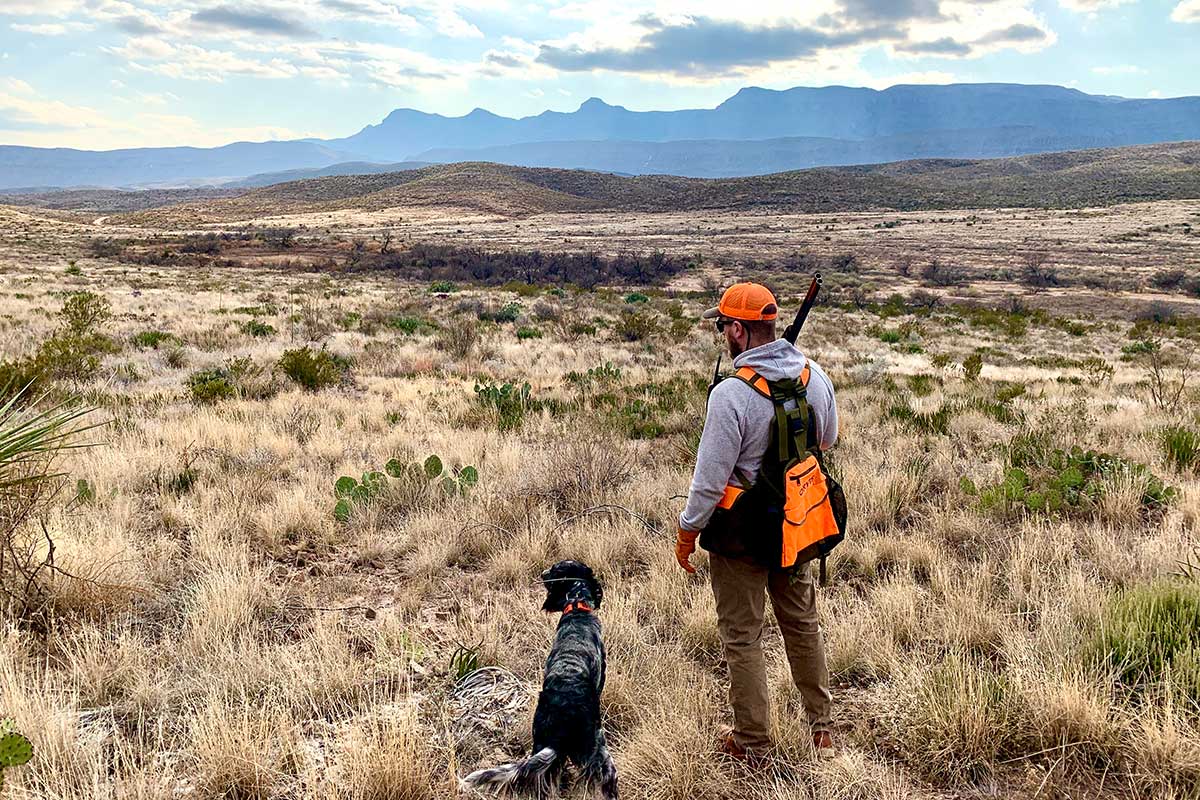 How to Find the Best Choke for Quail Hunting Wide Open Spaces