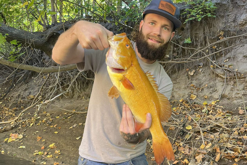 Golden Smallmouth