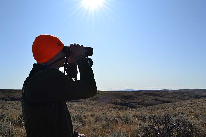 pronghorn hunting states