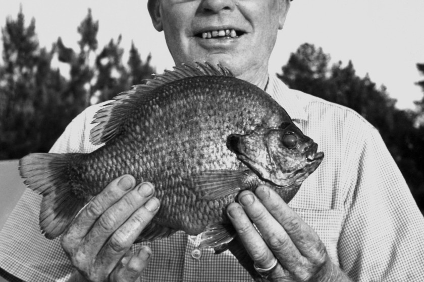 World Record Bluegill Profile