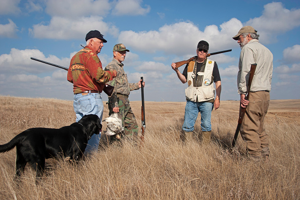 best gauge shotgun for upland