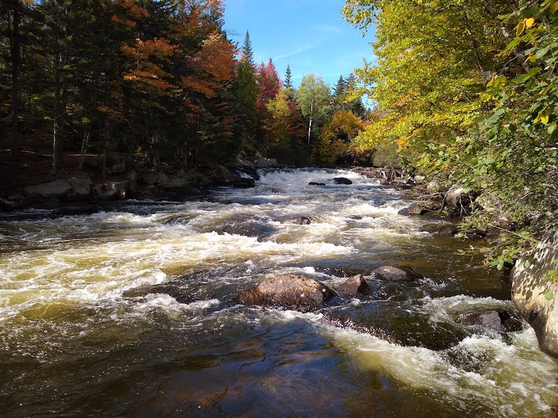 Cold Weather Fly Fishing on Maine’s Magalloway River Wide Open Spaces