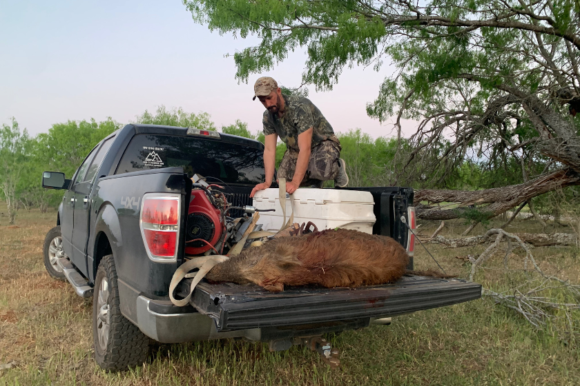 turkey hunt hog hunt